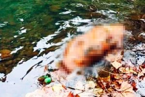 Cuerpo envuelto en petate encontrado en Hueytamalco pertenecía a un hombre previamente secuestrado