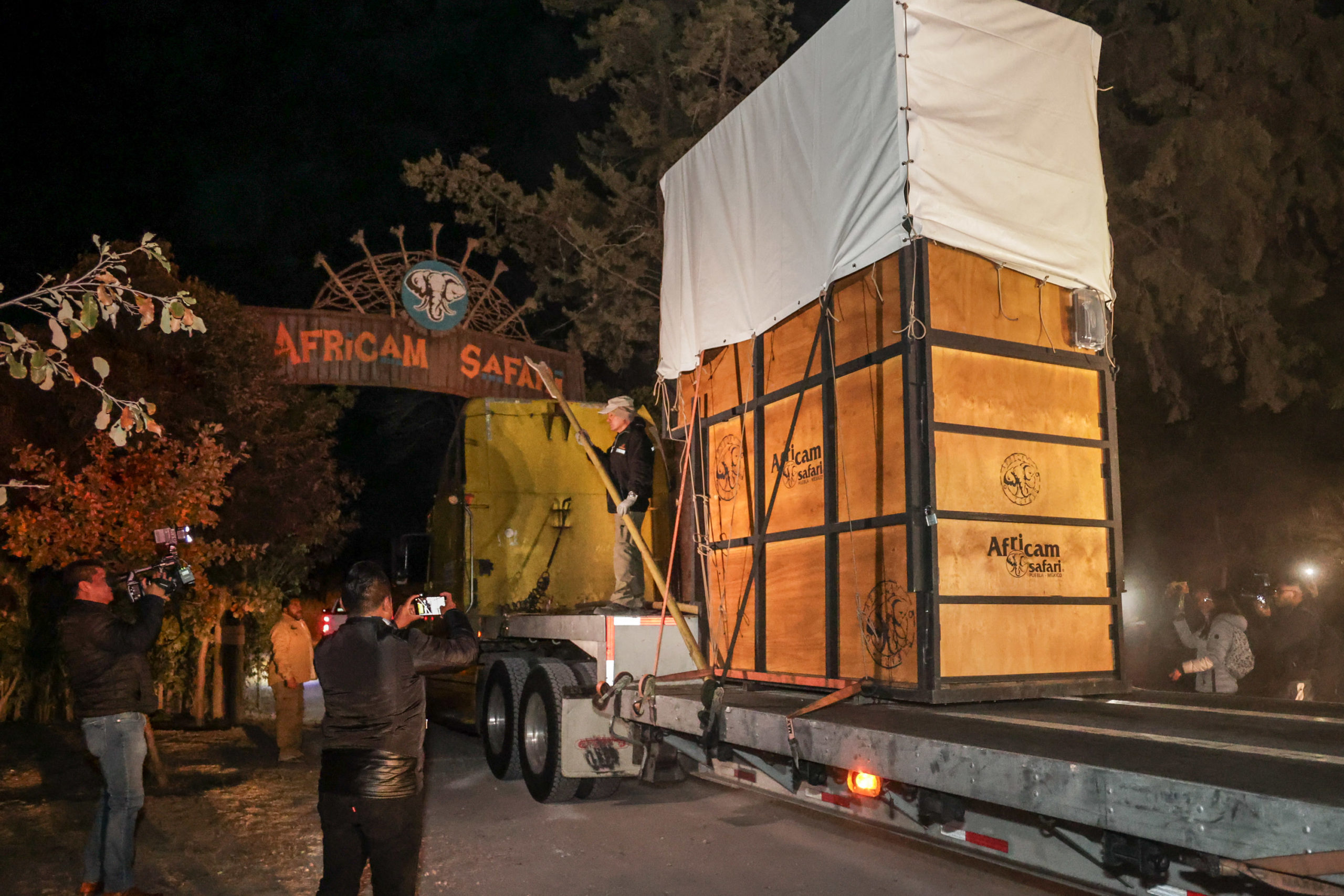 Luego de casi 30 horas de viaje la jirafa Benito por fin ha llegado a Africam Safari