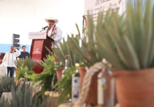 En Tehuitzingo, Sergio Salomón inicia programa de impulso al agave mezcalero 2024