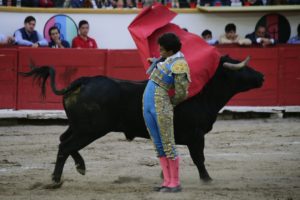 Gobierno de Puebla se mantiene respetuoso al fallo de juez para prohibir las corridas de toros