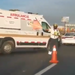 Hombre pierde la vida luego de ser atropellado en la autopista Puebla-Veracruz a la altura de Chachapa