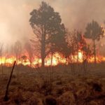 Actualmente se encuentran activos dos incendios forestales en Puebla