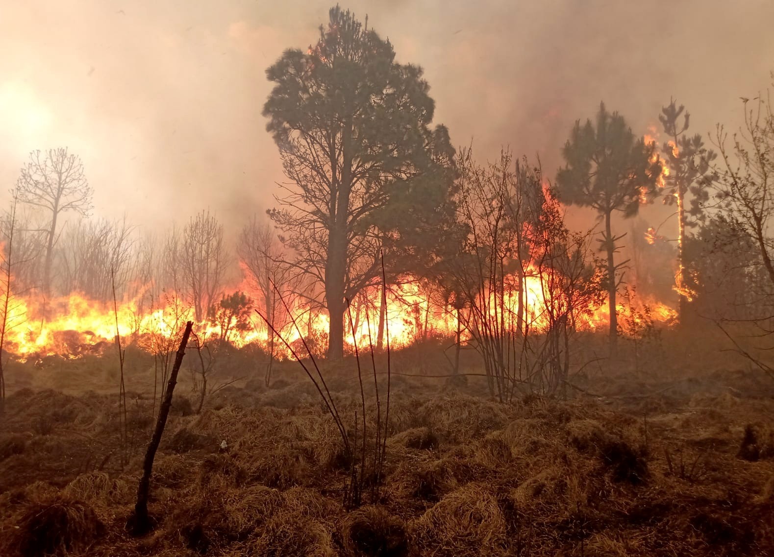 Actualmente se encuentran activos dos incendios forestales en Puebla