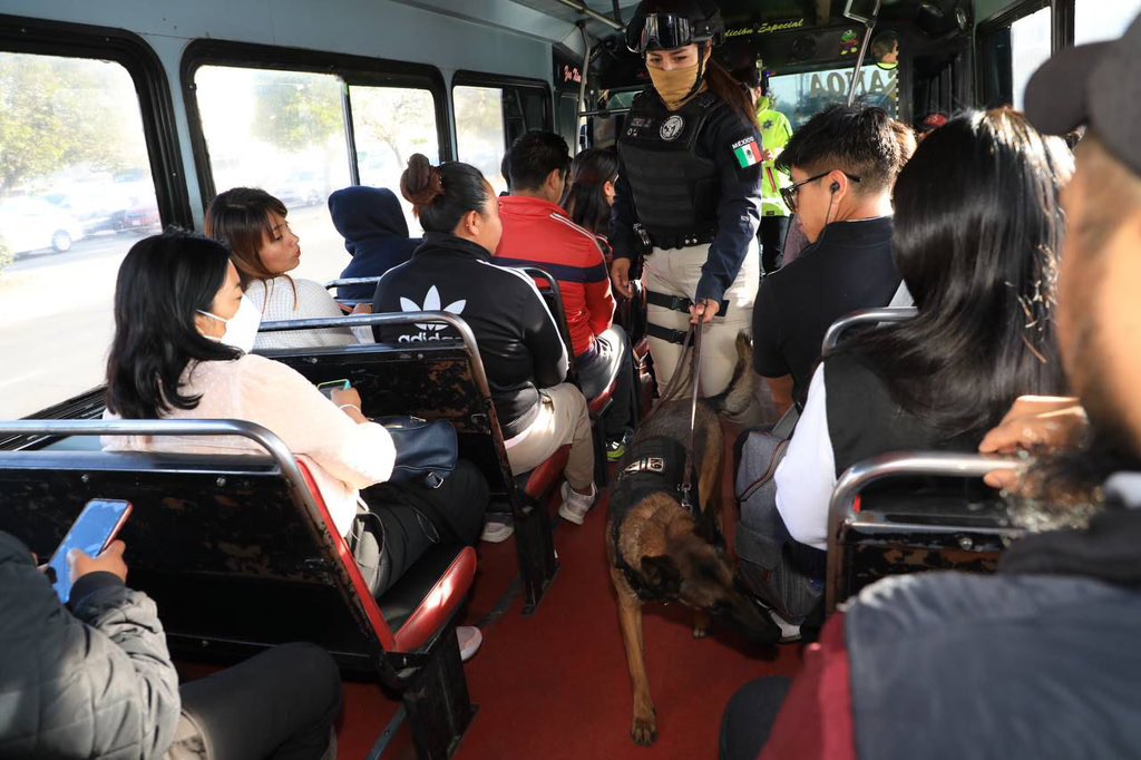 Con binomios caninos. SSC Puebla realiza operativos de inspección en transporte público