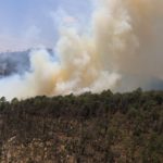Al menos 120 hectáreas han sido dañadas en el municipio de Libres por el incendio forestal: Céspedes Peregrina