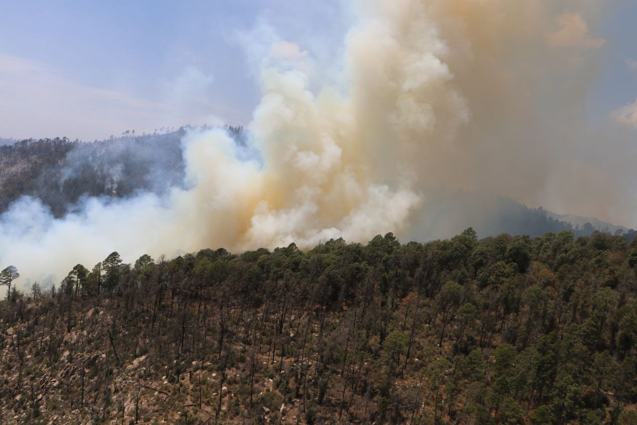 Al menos 120 hectáreas han sido dañadas en el municipio de Libres por el incendio forestal: Céspedes Peregrina