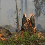 Voraz incendio en el Parque Nacional Iztaccíhualt-Popocatépetl