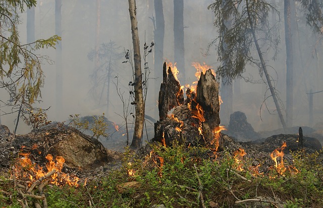 Voraz incendio en el Parque Nacional Iztaccíhualt-Popocatépetl