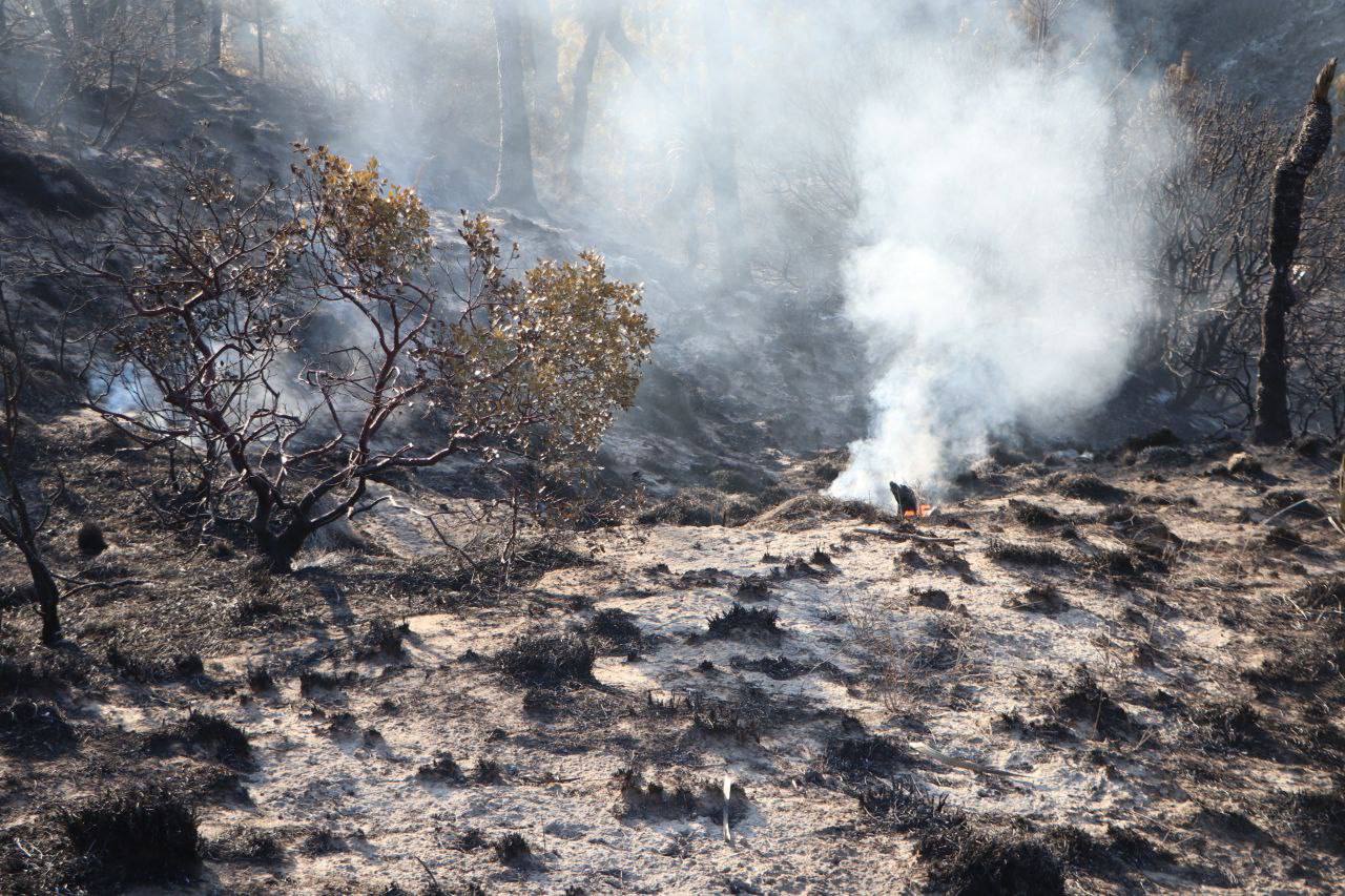 Incendio forestal en Libres ya está controlado en al menos un 80 por ciento