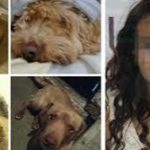 María Consuelo N., mejor conocida como ‘la mataperros’ fue vinculado a proceso por el delito de crueldad animal