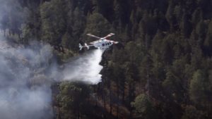 Incendio forestal en Libres y Coyomeapan está controlado: Céspedes Peregrina