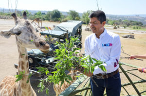 Eduardo Rivera asegura que si gana la gubernatura, habrá servicio médico gratuito para mascotas en Puebla