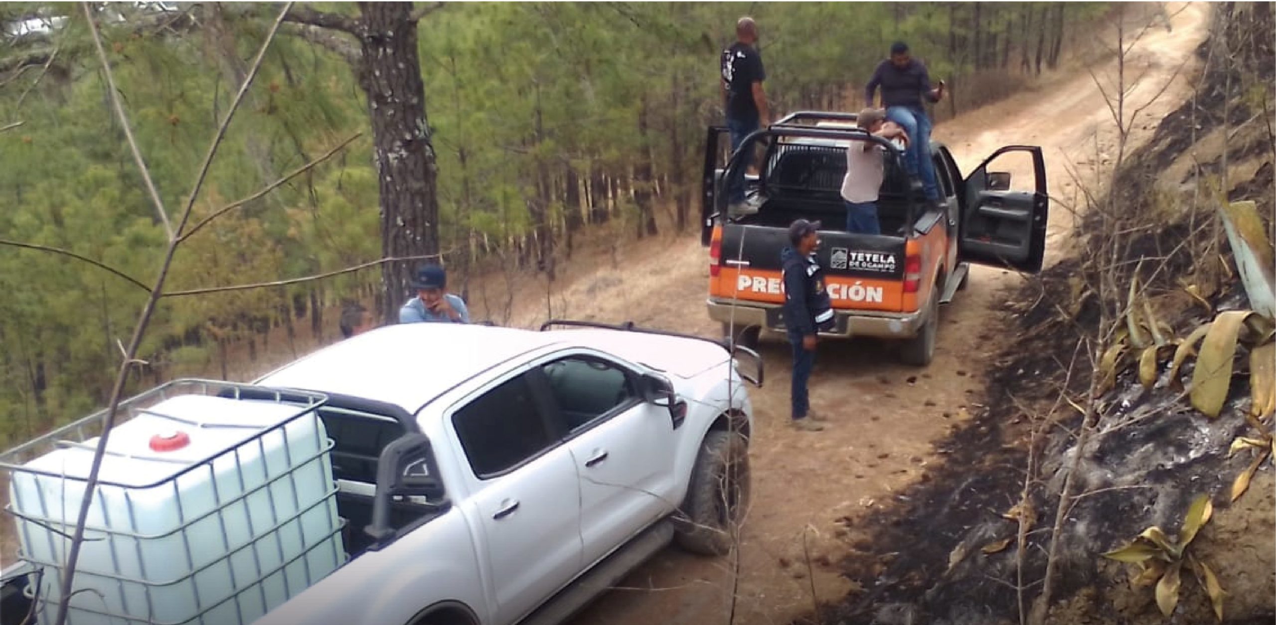 Incendio forestal en Tetela de Ocampo está controlado al 100: Segob