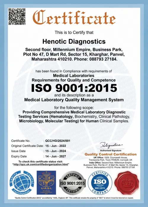 Official ISO 9001:2015 quality management certificate