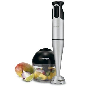 Immersion Blender