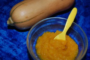 Homemade butternut squash puree