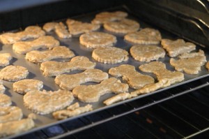 Dog Biscuits Baking