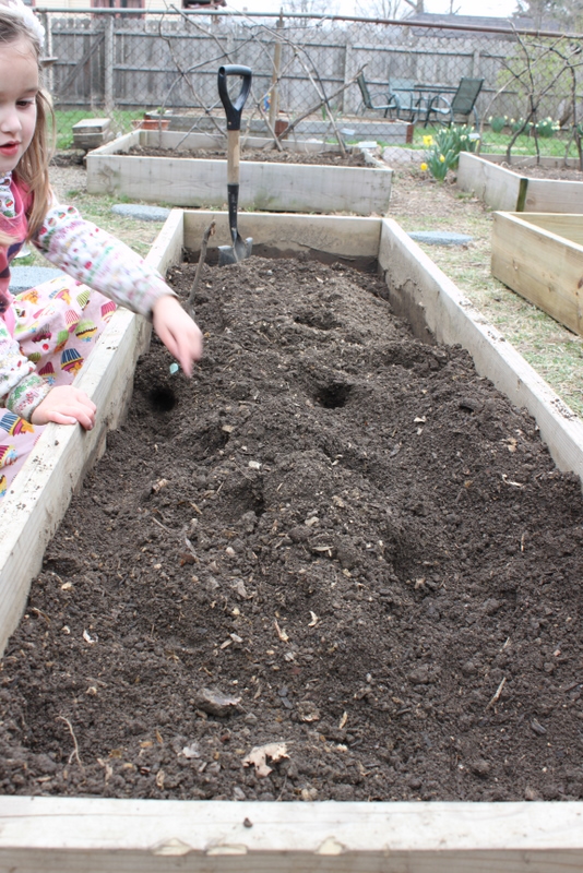 empty garden bed