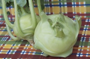 stuffed kohlrabi