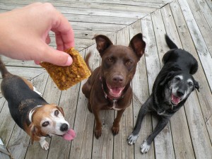 banana pumpkin dog treats