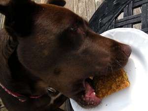 banana pumpkin dog treats