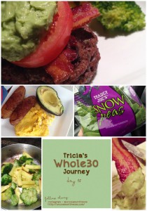 Tricia's Whole30 Journey - Day 15