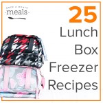 25 Lunch Box Freezer Recipes