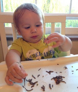 Toddler eating freezable finger food