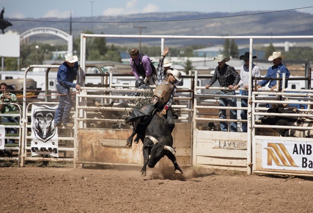 10 světově nejnebezpečnějších povolání: Býčí rodeo