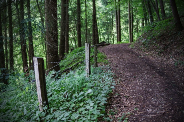 Výbava, kterou si nesmíte zapomenout do divočiny