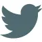 Logo Twitter