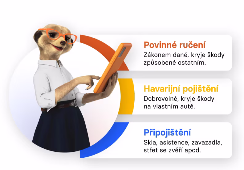 Pojištění auta může krýt různá rizika
