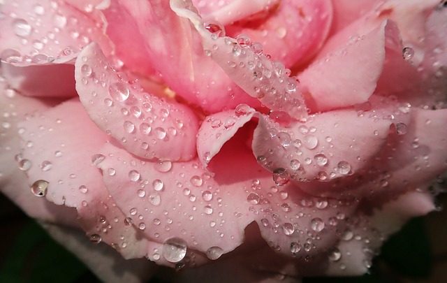 雨降ってるのは諦める