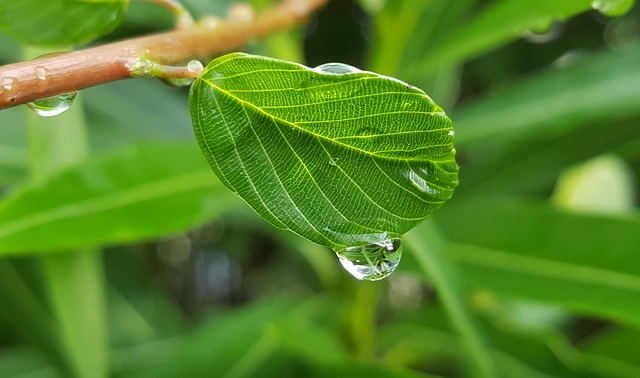 風の時代～水瓶座に涙は通用しない