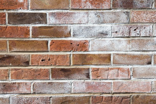 Link between Damp and Efflorescence | Garratt's Damp Link between Damp and Efflorescence | Garratt's Damp