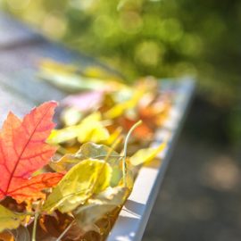 autumn-leaves-guttering-house