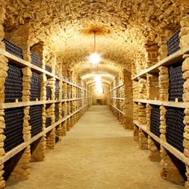 Old cellar of the winery with bottles of wine