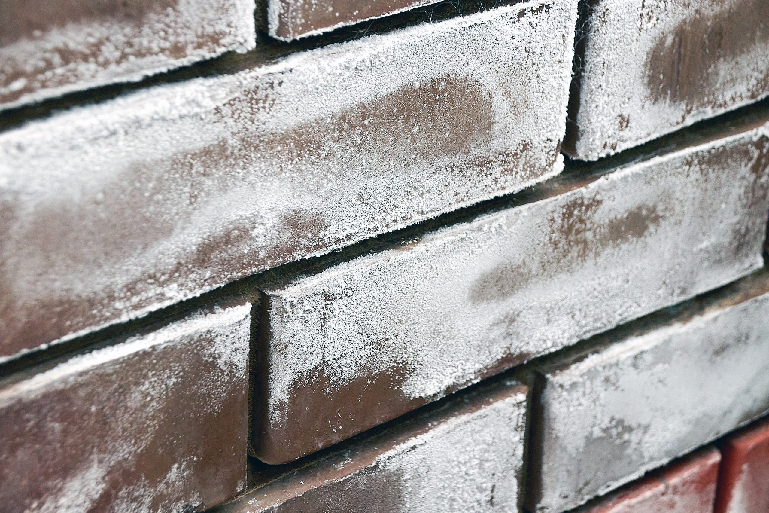 Efflorescence - powdery-white salt deposits on the wall