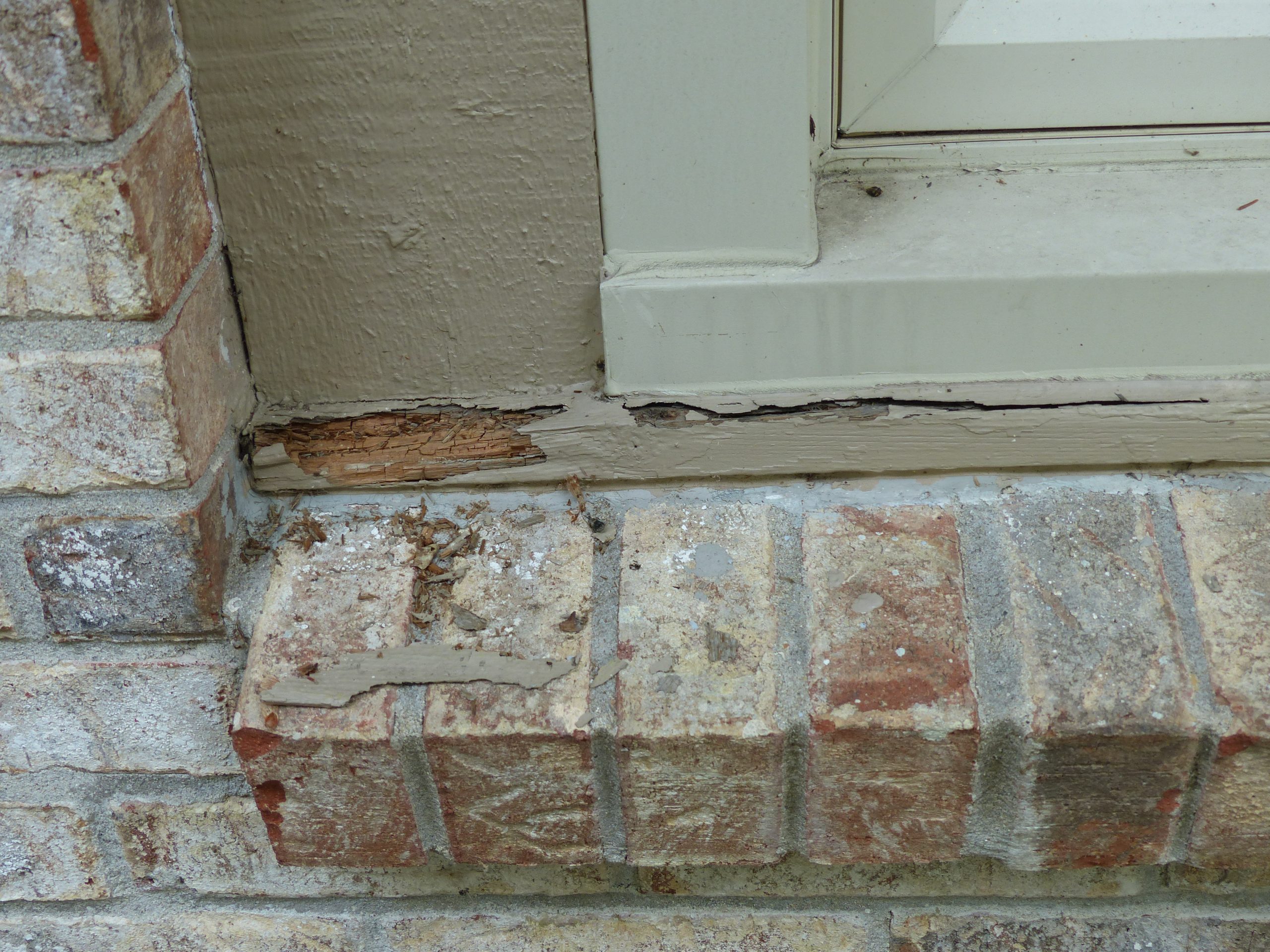 Dry Rot in Wooden Frame