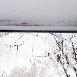 Black Mould on wall around the window frame