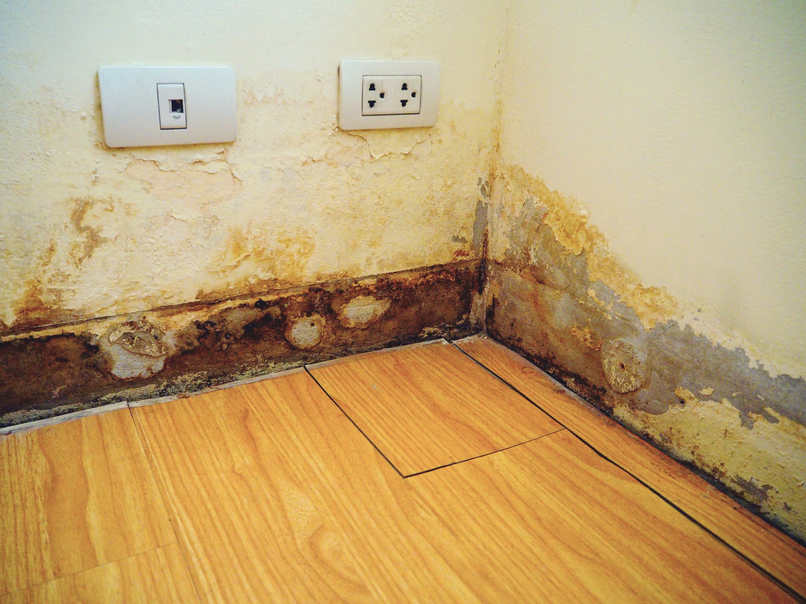 Rainwater Penetrates Wall and damp destroyed floor