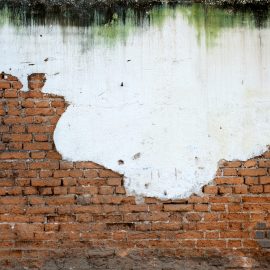 Heavy Mould on White Plaster