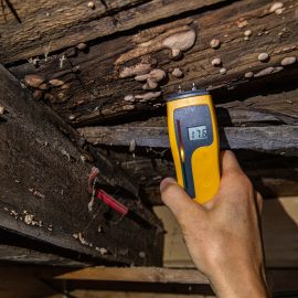 Digital Moisture Detector Showing Damp