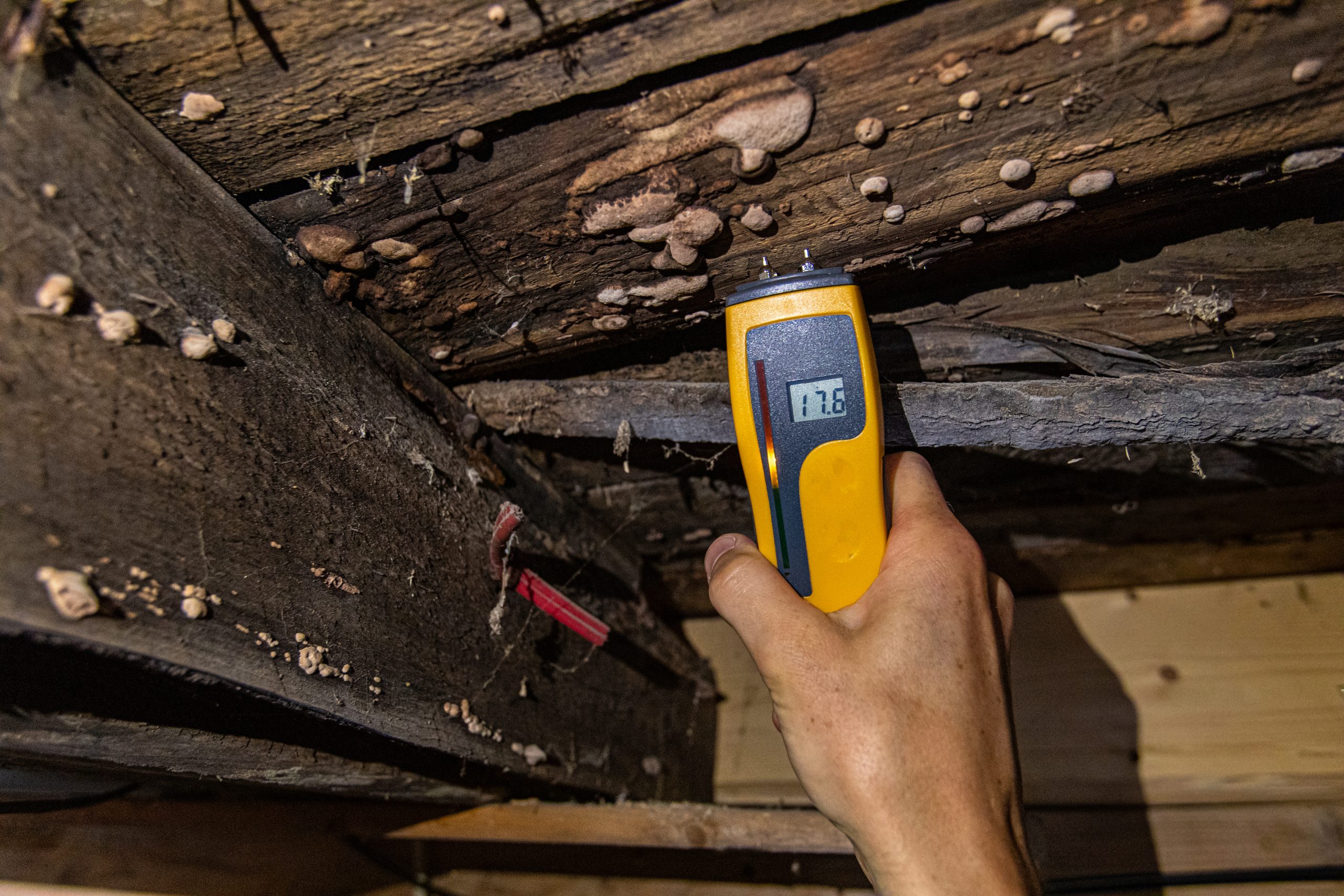 Digital Moisture Detector Showing Damp