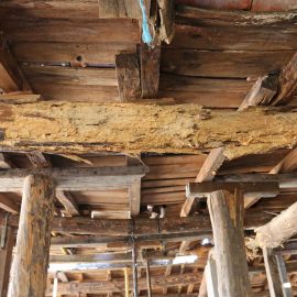 Wood Roof Girders With Woodworm