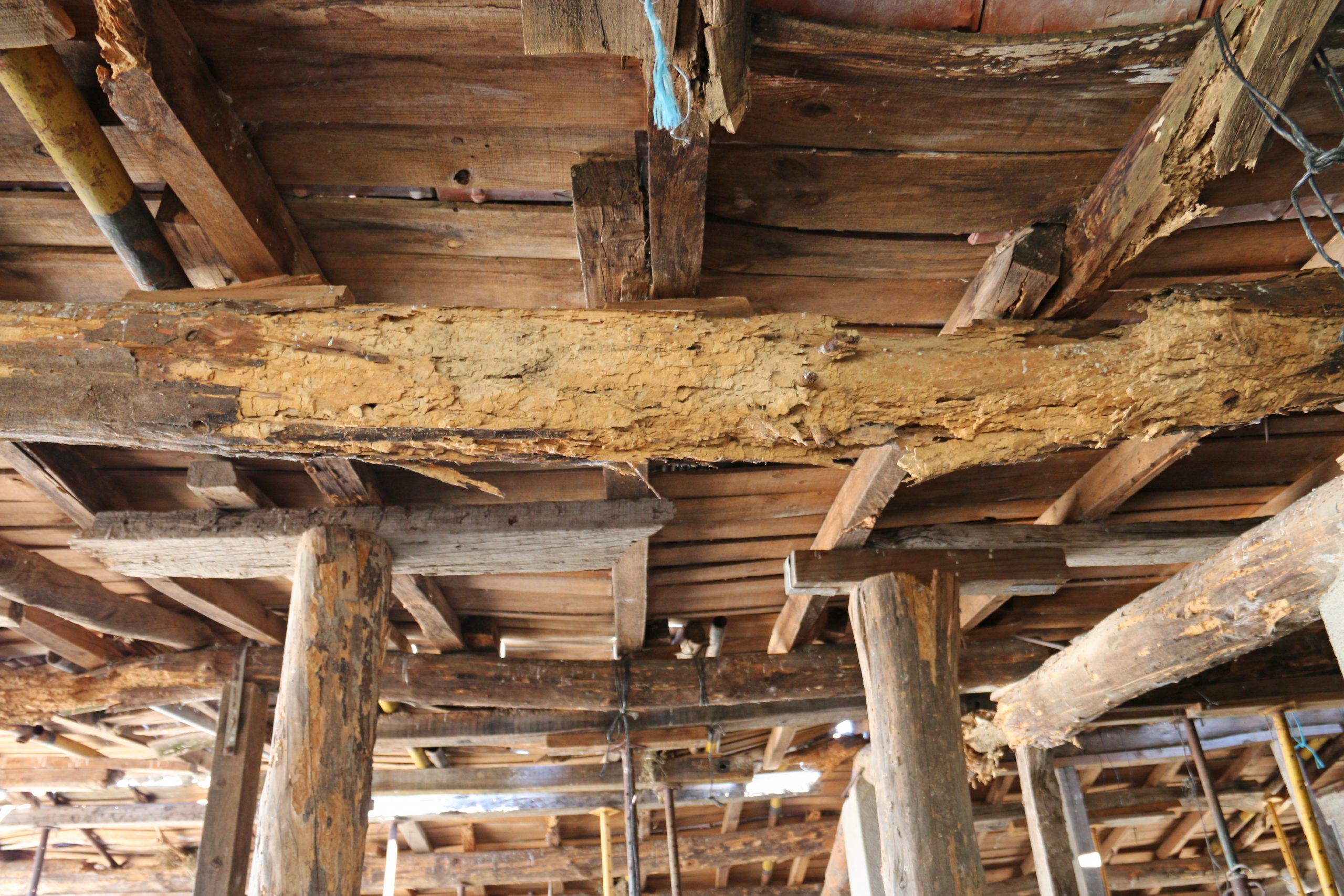 Wood Roof Girders With Woodworm