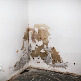 Damp Wall Treatment - Damp Proof Injection Cream