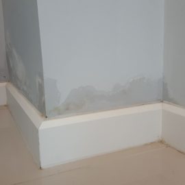 rising damp on the wall