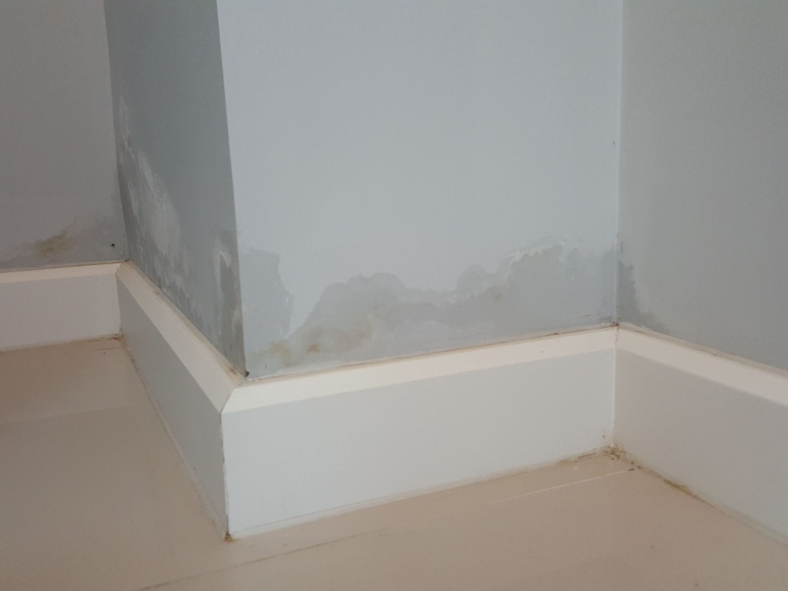 rising damp on the wall