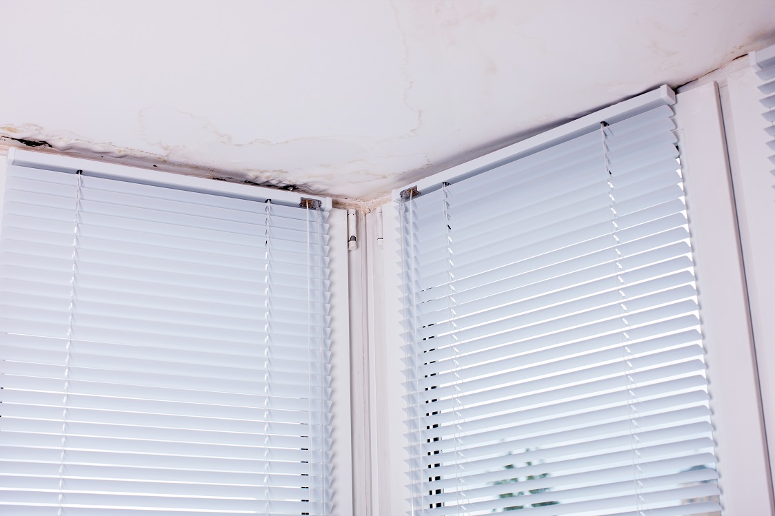 damp and wall on ceiling and round windows